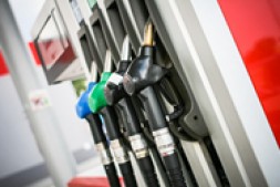 免费.win域名注册