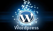 WordPress 清理神器 WP Clean Up