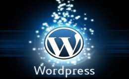 WordPress伪静态设置