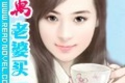 亿万老婆买一送一已完成